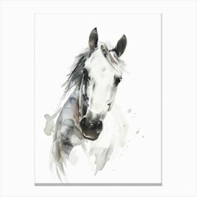 Horse Canvas Print 1 Canvas Print