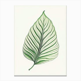 Hosta Leaf Warm Tones 2 Canvas Print