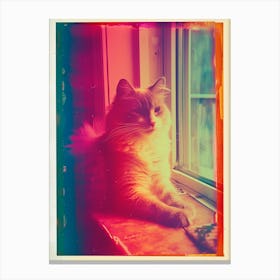 Cat Portrait Polaroid Inspired 1 Canvas Print