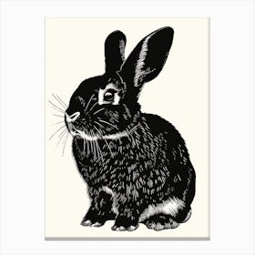 French Lop Blockprint Rabbit Illustration 7 Canvas Print