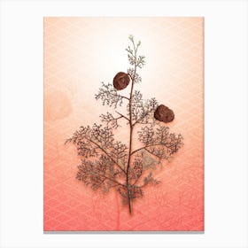 Mediterranean Cypress Vintage Botanical in Peach Fuzz Hishi Diamond Pattern n.0341 Canvas Print