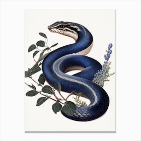 Texas Indigo Snake 1 Vintage Canvas Print