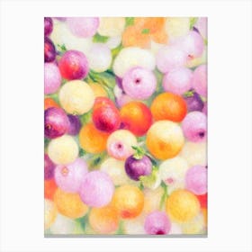 Blackcurrant Painting Fruit Canvas Print