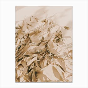 Dried Eucalyptus Leaves Canvas Print