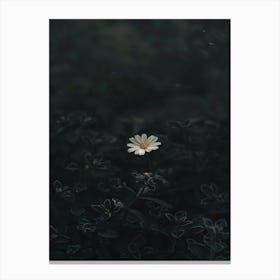 Flower In The Dark 84 Canvas Print