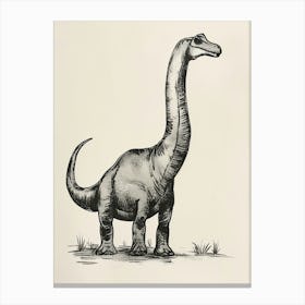 Brachiosaurus Dinosaur Black Ink & Sepia Illustration 3 Canvas Print