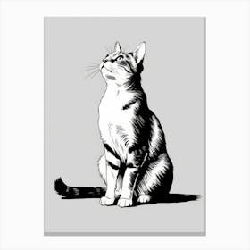 Cat Sitting 1 Canvas Print