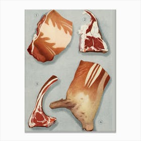 Anatomy Of Meat Canvas Print