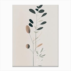 Rue Herb Simplicity Canvas Print