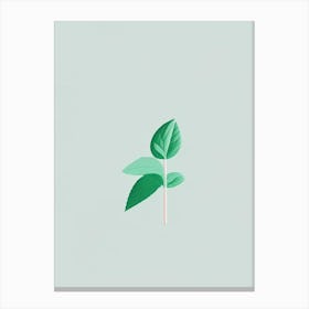 Peppermint Herb Simplicity Canvas Print