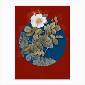 Vintage Botanical Twin Flowered White Rose on Circle Blue on Red n.0019 Canvas Print