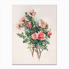 Vintage Roses Canvas Print
