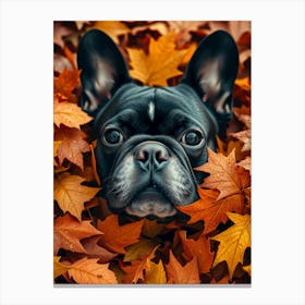 French Bulldog In Autumn Leaves 3 Canvas Print