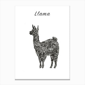 B&W Llama Poster Canvas Print