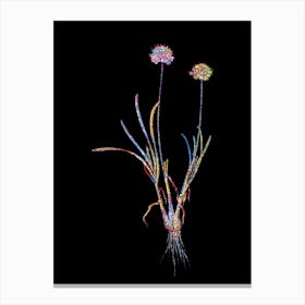 Stained Glass Allium Carolinianum Mosaic Botanical Illustration on Black Canvas Print