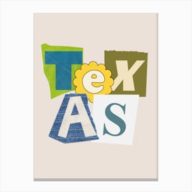 Texas State Collage Canvas Print