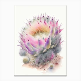 Hedgehog Cactus Pastel Watercolour Canvas Print