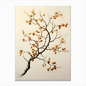 Apricot Tree Canvas Print