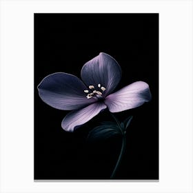 Purple Flower 5 Canvas Print