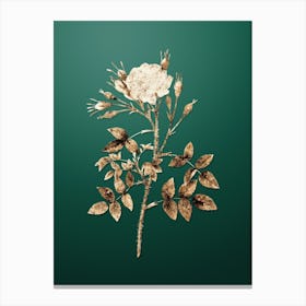 Gold Botanical White Rose of Rosenberg on Dark Spring Green n.3982 Canvas Print