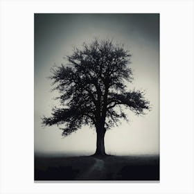 Lone Tree 20 Canvas Print