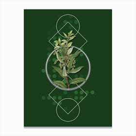 Vintage Evergreen Oak Botanical with Geometric Line Motif and Dot Pattern n.0271 Canvas Print