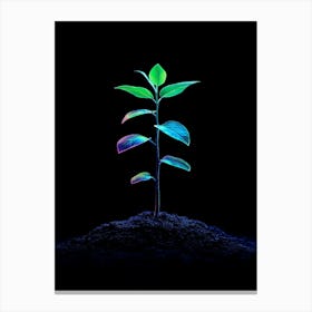 Plant Growing In The Dark 8 Canvas Print