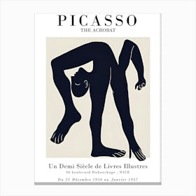 Picasso 21 Canvas Print