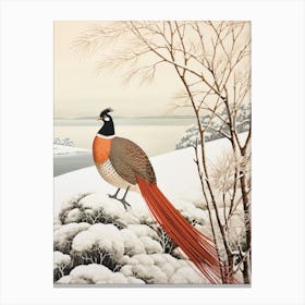 Bird Illustration Pheasant 2 Canvas Print