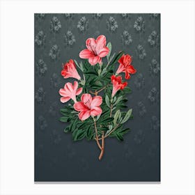 Vintage Brick Red Chinese Azalea Botanical on Slate Gray Pattern n.0271 Canvas Print
