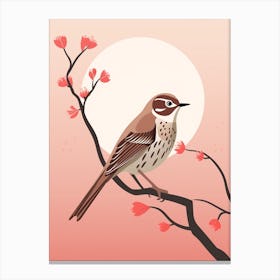 Minimalist Hermit Thrush 1 Illustration Canvas Print