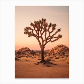  Photograph Of A Joshua Tree At Dusk  In A Sandy Desert 2 Canvas Print