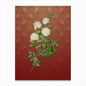Vintage Germander Meadowsweet Botanical on Falu Red Pattern n.0349 Canvas Print