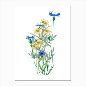 Wildflowers.uk Canvas Print