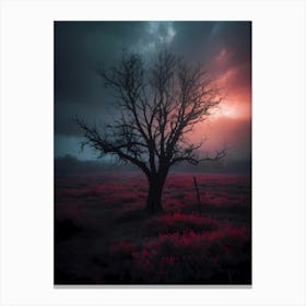 Lone Tree At Sunset Canvas Print