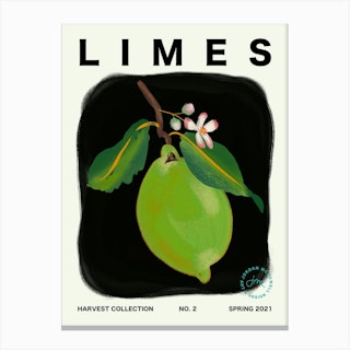 Limes Fruit Kitchen Typography Canvas Print