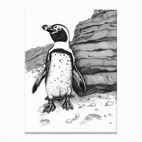 African Penguin Exploring 2 Canvas Print