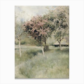 'The Cherry Trees' Canvas Print