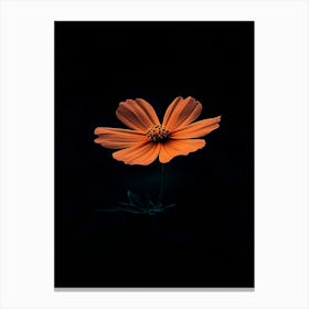 Orange Flower On Black Background 8 Canvas Print