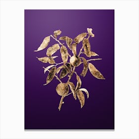 Gold Botanical Peach on Royal Purple n.0328 Canvas Print