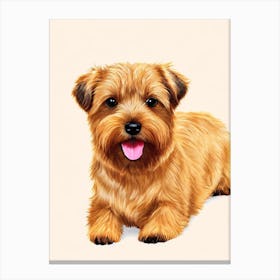 Norfolk Terrier Illustration dog Canvas Print