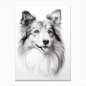 Shetland Sheepdog Dog, Line Drawing 1 Canvas Print