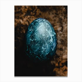 Easter Egg 4 Canvas Print