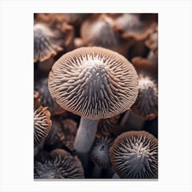 Mushroom Photography 5 Canvas Print