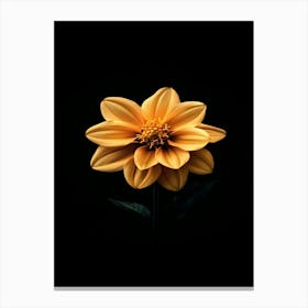 Dahlia 31 Leinwandbilder