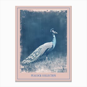 Blue Peacock In A Field Cyanotype Inspired Poster Canvas Print
