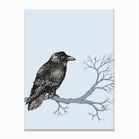 Raven pen drawing Canvas Print