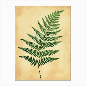 Pattern Poster Japanese Painted Fern 1 Canvas Print