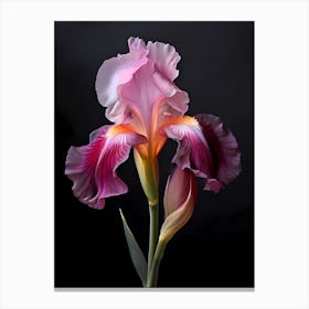 Iris Art 1 Canvas Print