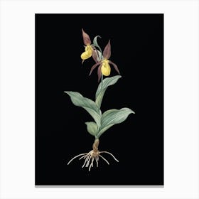 Vintage Lady's Slipper Orchid Botanical Illustration on Solid Black n.0172 Canvas Print